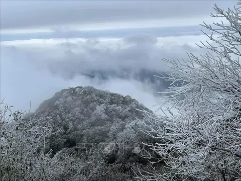 Băng giá phủ kín đỉnh núi Phia Oắc, Cao Bằng
