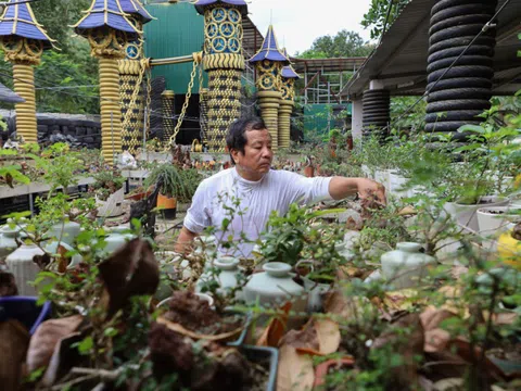 Bộ sưu tập hơn 5.600 bonsai 'tí hon'