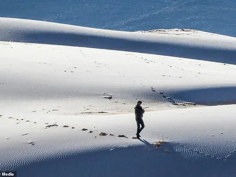 Ngỡ ngàng bộ ảnh tuyết phủ sa mạc Sahara đẹp như mơ