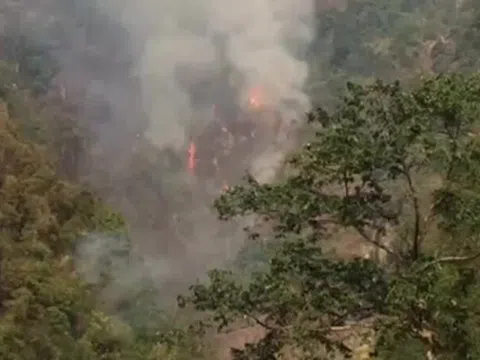 Hơn 1.000 người dập đám cháy rừng
