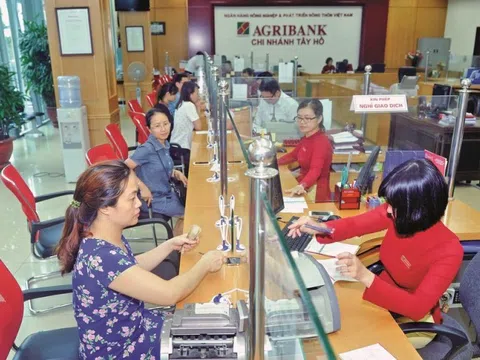 'Ông lớn' Agribank đang bị 'đuối' trước sự vượt trội của nhóm ngân hàng thương mại?
