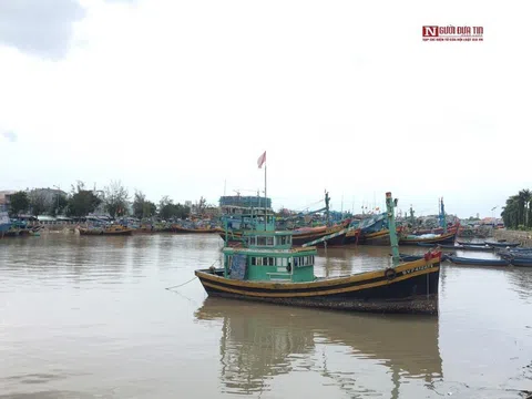 Bình Thuận: Khẩn tìm người đến cảng cá Phan Thiết