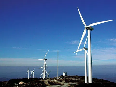Hapaco dự kiến đầu tư dự án điện gió 4.000 tỷ đồng
