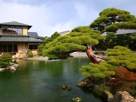 Vì sao nên thiết kế vườn theo phong cách Nhật?