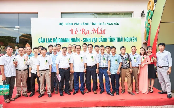 Phát huy vai trò Trung tâm Thương mại và Du lịch Dũng Tân trong hoạt động của CLB Doanh nhân Sinh Vật Cảnh tỉnh Thái Nguyên